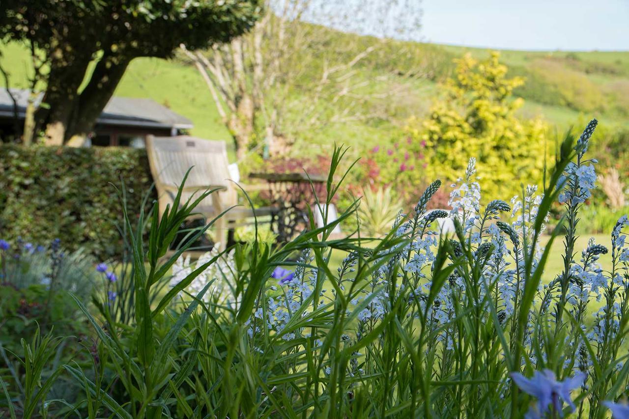 Combas Farm Hotell Braunton Exteriör bild